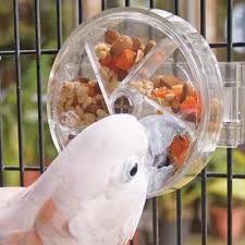 reinforcement foraging wheel by creative foraging kus oyuncaklari papaganlar papagan