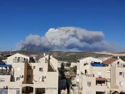 We did not find results for: Np5dfqrqtbzqnm