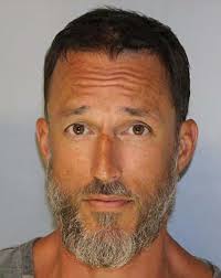 Logan Young, a Hall County man, is facing several charges after throwing a  deep freezer at another man, knocking him out and causing him to fall into  Lake Lanier.