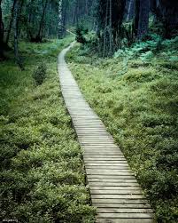 It covers an area of 46.13 square kilometres (17.81 sq mi) of forests, lakes, meadows and peatlands. Bory Tucholskie Kacze Oko Nature Photography Country Roads Places
