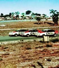 Image result for Meadow Green 1977 Holden Fleet