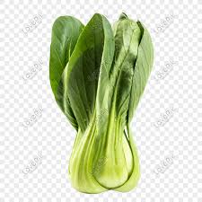 Sayur daun bayam makanan, sayur, hidroponik, chard png. Greens Png Images Picture Free Download Lovepik