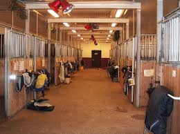 All used trailers sold at advertised prices will be inspected, reconditioned as needed, and cleaned by our service department. Stable Wikipedia
