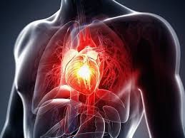 Image result for circulatory system diseases