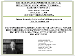 the federal defenders of montana the montana association