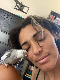 Cockatiel egg laying concerns with adopted female