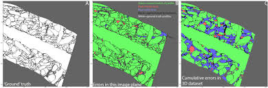 Which animal cell junction is correctly matched with its function. Saturated Reconstruction Of A Volume Of Neocortex Cell