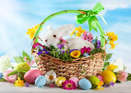We did not find results for: Happy Easter Jigsaw Puzzle In Puzzle Of The Day Puzzles On Thejigsawpuzzles Com Puzzle Of The Day Easter Colors Happy Easter