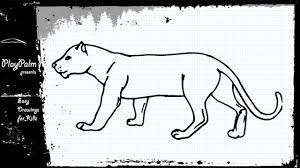 Do you know the state symbols of florida? How To Draw A Panther Youtube