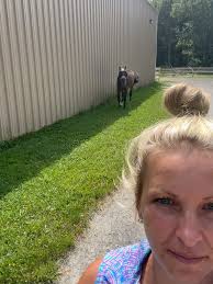 Pembroke Hill Equestrian