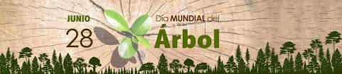 Este y otros santos son celebrados durante el 28 de junio Dia Mundial Del Arbol