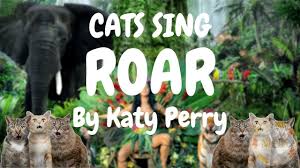 Cats Sing Roar By Katy Perry Cats Singing Song Roar Song Singing Songs