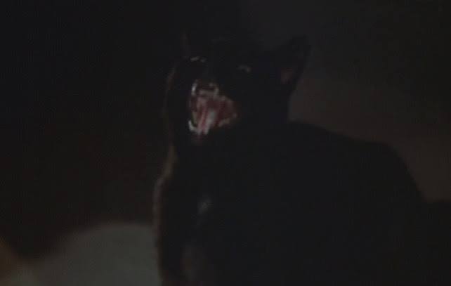 The Legend of Hell House (1973) - Cinema Cats