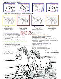 Read on for some hilarious trivia questions that will make your brain and your funny bone work overtime. 900 Everything Horse Ideas Horses Beautiful Horses Horse Love