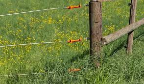 Electric fencing does require maintenance, especially during the summer months when the grass is growing but once installed, an electric fence should give you years of protection. How To Build An Electric Fence For Cattle Farmhouse Guide