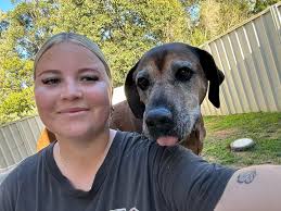 Yesterday we said goodbye to Tori ❤️‍🩹 One of the most gorgeous old girls  I have had the pleasure of meeting. Tori would always greet me with  excitement to be taken out