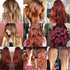 Here are some ideas to get you started. The Best Hair Color Chart With All Shades Of Blonde Brown Red Black