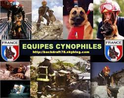 Résultat de recherche d'images pour "equipes cynophiles"