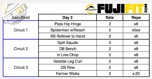 Circuit Workout For Bjj Strength And Conditioning Workouts Conditioning Workouts Circuit Training Program