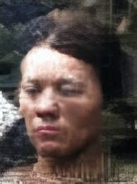 Descendants of Cornelis Bosch