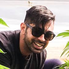 How Genomics is Shaping the Future of Cannabis Breeding