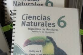 Oficial el libro de ciencias naturales 6 sexto grado honduras para descargar en pdf. Se Detalle Noticia