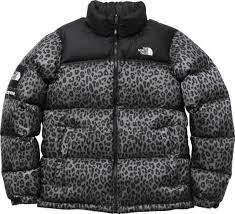 Supreme X The North Face Nuptse Down Jacket North Face Jacket North Face Nuptse The North Face