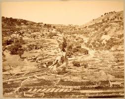 Jerusalem القدس الشريف وادي الربابة سلوان Jerusalem Natural Landmarks Holy Land