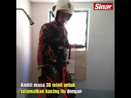 Izuku has dreamt of being a hero all his life—a lofty goal for. Anggota Bomba Jadi Hero Selepas Selamatkan Seekor Kucing Watsupasia Asia S Latest News Entertainment Platform