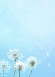 Download Premium Illustration Of Hand Drawn Dandelions With A Blue Sky Pemandangan Latar Belakang Fotografi Alam