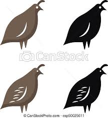 Die durchschnittliche gelegegröße sind jedoch elf eier. Wachtel Clip Art Und Stock Illustrationen 1 335 Wachtel Eps Illustrationen Und Vektor Clip Art Grafiken Zur Auswahl Von Tausenden Herstellern Lizenzfreier Stock Kunst