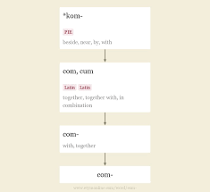 Latin words for put together include confero, conjicio, conicio, conficio, conpono, cosmitto, conligo, colligo, como and compono. Com Origin And Meaning Of Prefix Com By Online Etymology Dictionary
