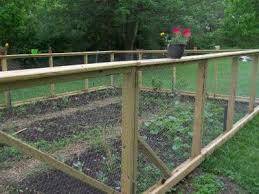 Maybe you would like to learn more about one of these? How To Create A Vegetable Garden In Your Backyard