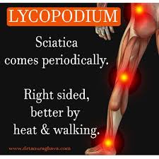 Dr Tanu Raghava Bhms Md On Instagram Lycopodium Is An Antipsoric Anti Syphilitic And Anti S In 2020 Homeopathy Treatment Homeopathy Medicine Homeopathy Remedies