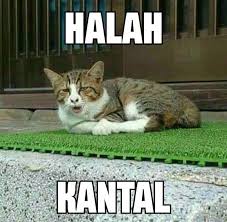 I Ini Stray Kids Meme Lucu Lucu Gambar Lucu