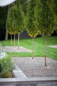 Bungalowclassic Modern Garden Landscaping Modern Landscape Design Modern Landscaping
