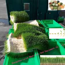 Check spelling or type a new query. 2016 Hydroponica Fodder Indoor Machine Hydroponics System Led Grow Lights Lydm 2000 Lyine China Manufacturer Food Beverage Cereal