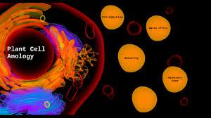 Maybe you would like to learn more about one of these? Cell Anology Project Diego Santa Cruz Hernandez By Diego Santa Cruz