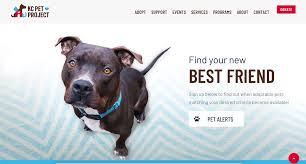 Kc pet project adoption process we currently have pets available for adoption at all of our locations and in foster homes. Case Study Kc Pet Project Petbridge Pet Alerts Pet Display