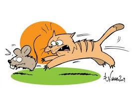 Resultado de imagem para quem não tem cão caça com gato