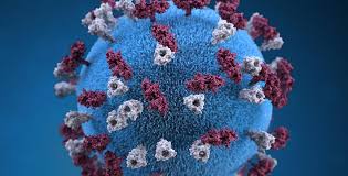 Out of the one hundred times that people have confronted me with 'virus catastrophes' on. What S A Virus Anyway Part 1 The Bare Bones Basics Scope