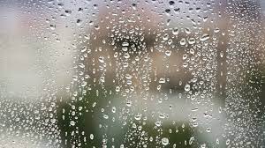 Check spelling or type a new query. 45 4k Rain Wallpaper On Wallpapersafari