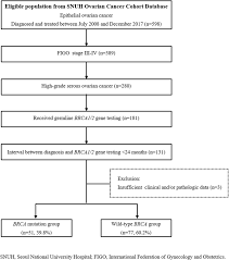 In rare cases, a suspected ovarian cancer may be biopsied during a laparoscopy procedure or with a if you have been diagnosed with an epithelial ovarian cancer, your doctor will likely recommend that you. Effect Of Brca Mutational Status On Survival Outcome In Advanced Stage High Grade Serous Ovarian Cancer Springerlink