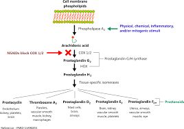 Nonsteroidal Anti Inflammatory Drugs Nsaids