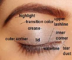 how to apply eyeshadow correctly
