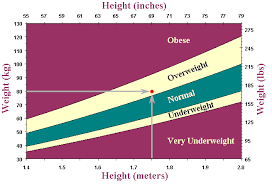 Adult Bmi Chart