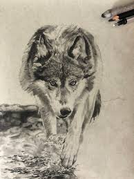 Check spelling or type a new query. Orasnap Cool Wolf Drawings Hard