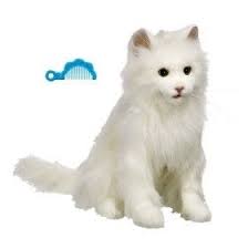 Pin On Dreamie S