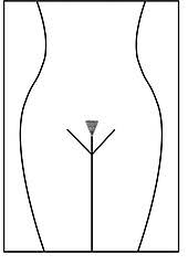 Pubic hair for golden palace extender + g3f + 15pub + 1tattoo. File Pubic Hair Style Triangle Jpg Wikimedia Commons