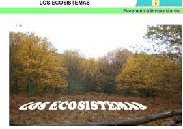 Resultado de imagen de actividad online ecosistemas